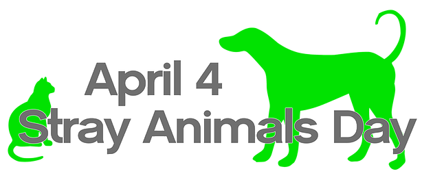 4 April Wereld Zwerfdierendag