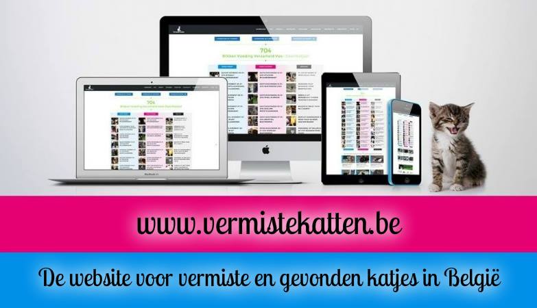 AIDSKATJES