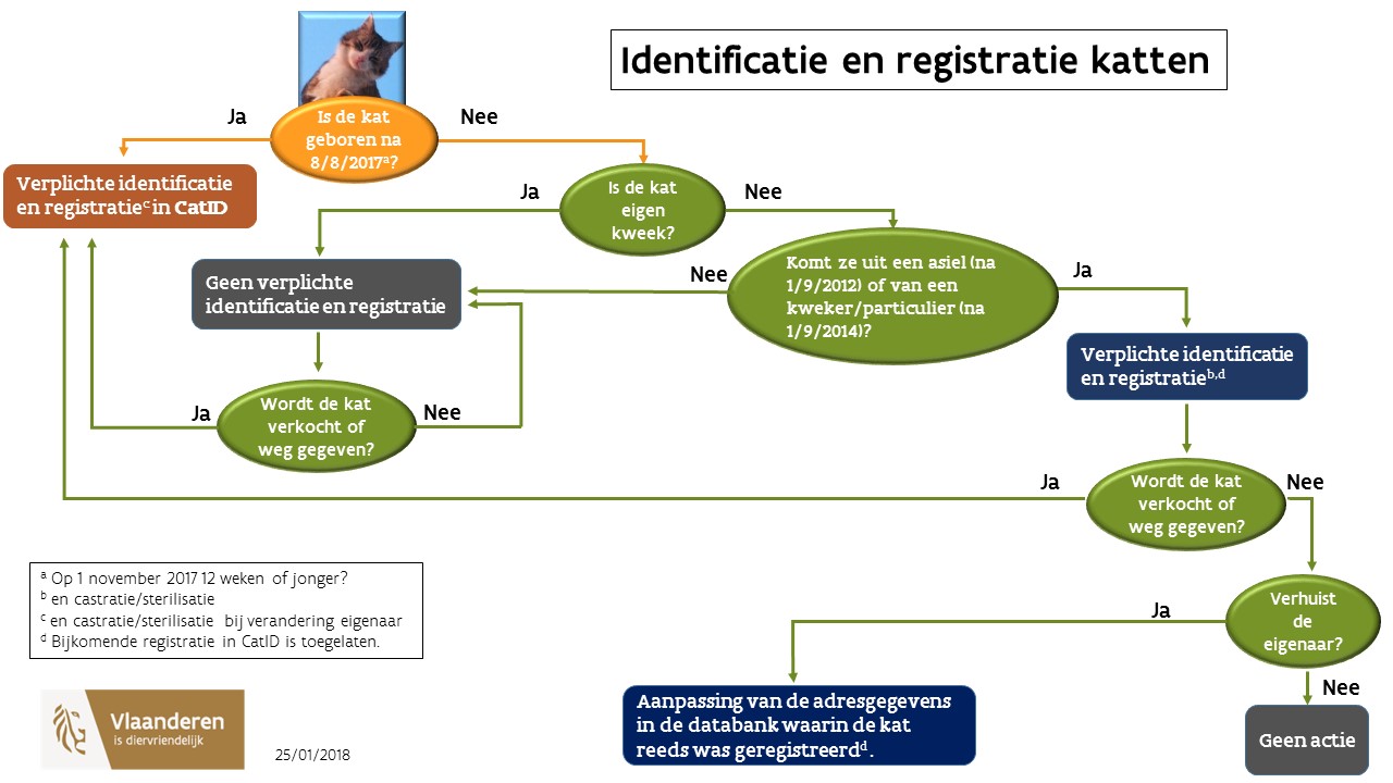 Castratie, identificatie en registratie van katten