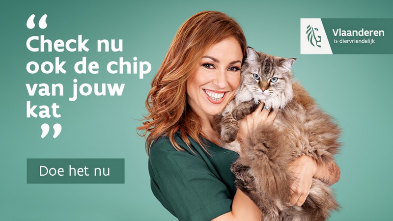 Check je chip!