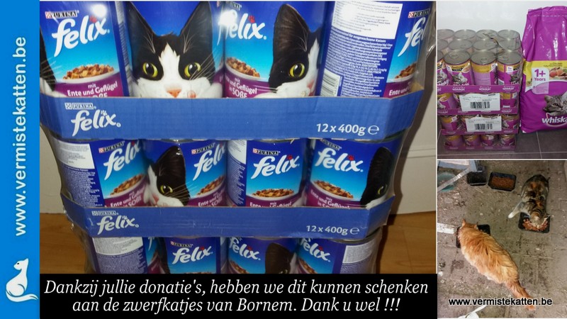 Dankzij uw donaties geschonken aan de zwerfkatjes van Bornem !
