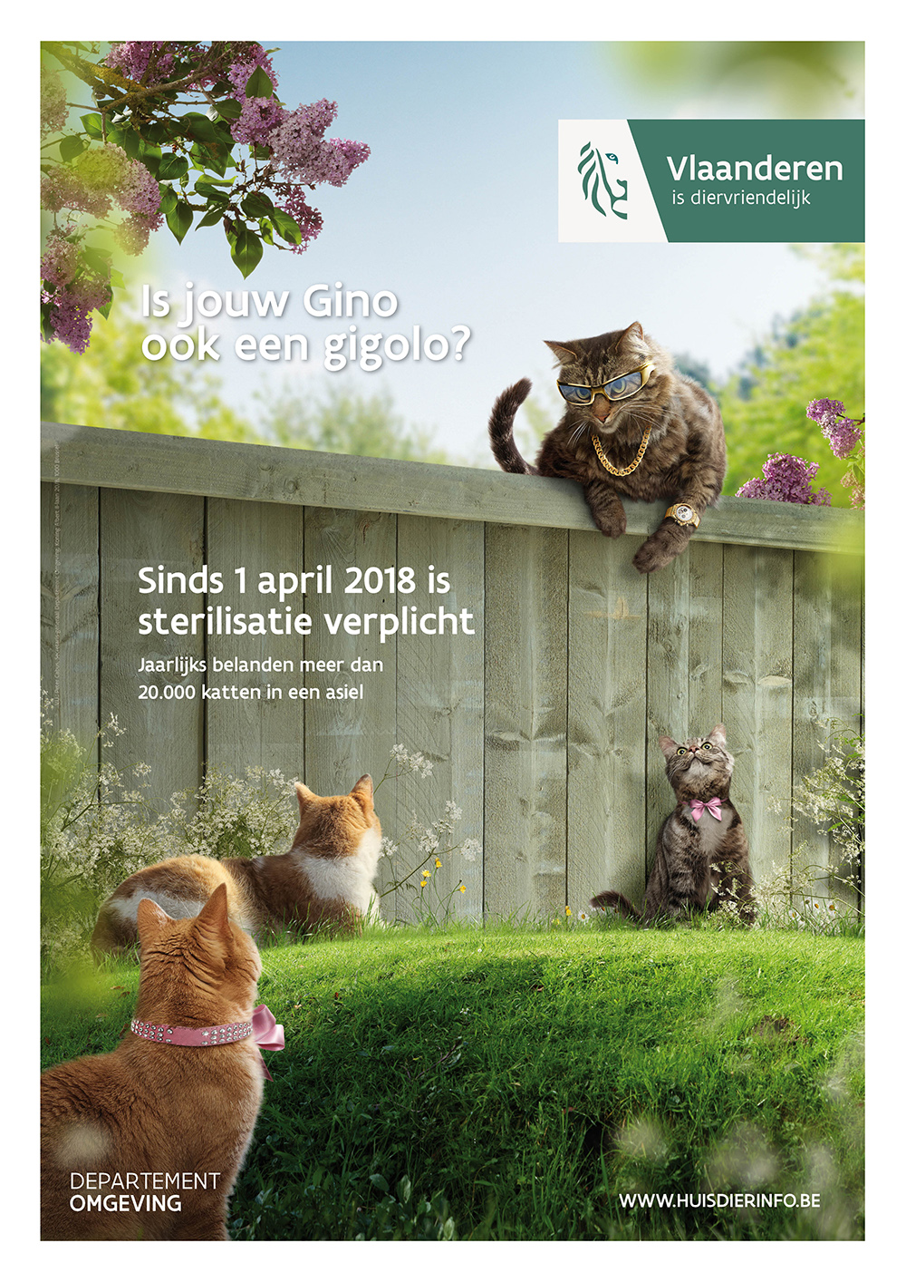 Verplichte castratie/sterilisatie van katten
