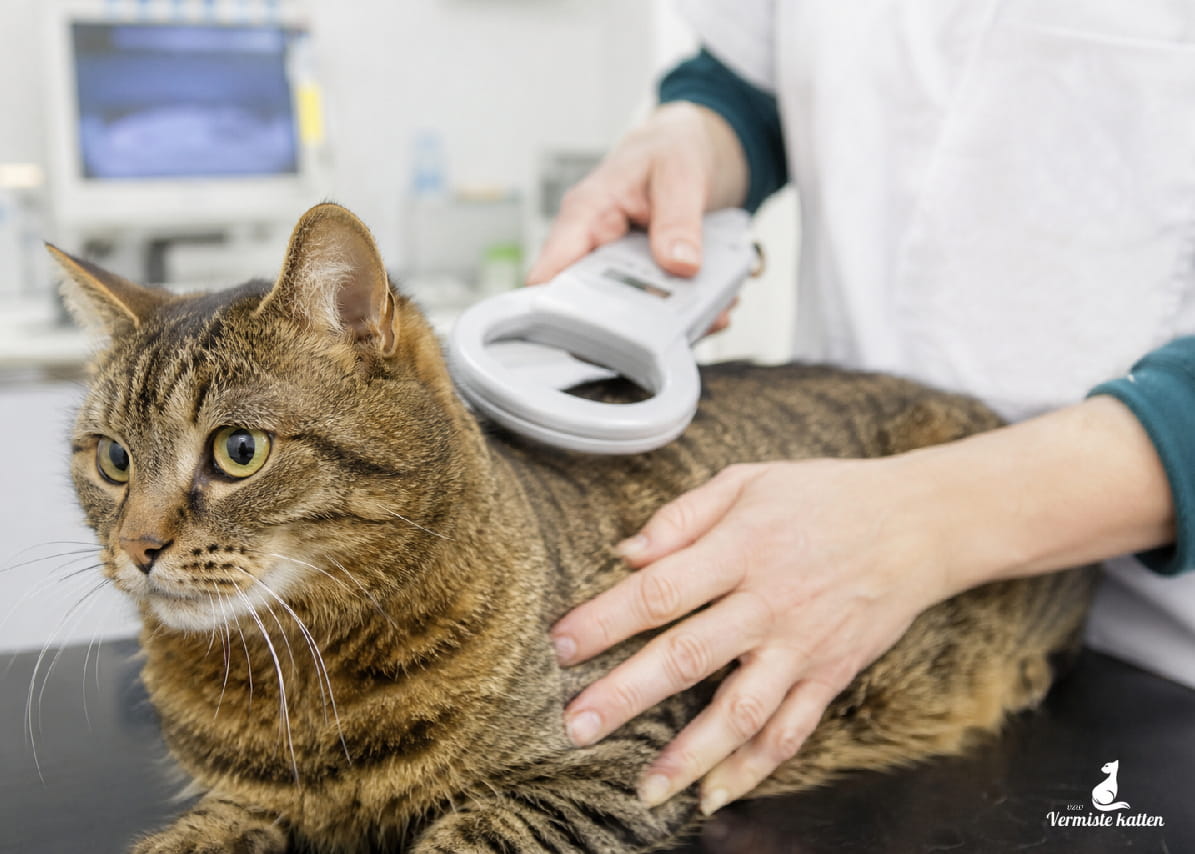 Wijzigingen in CatID en DogID – Controleer je gegevens !