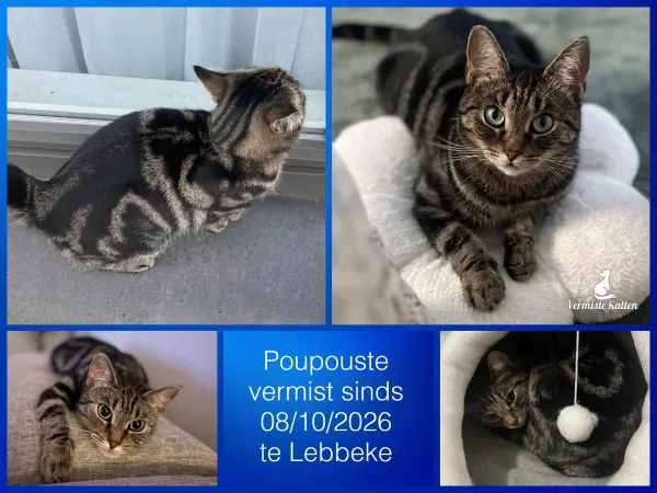Poupouste 