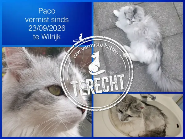 Paco