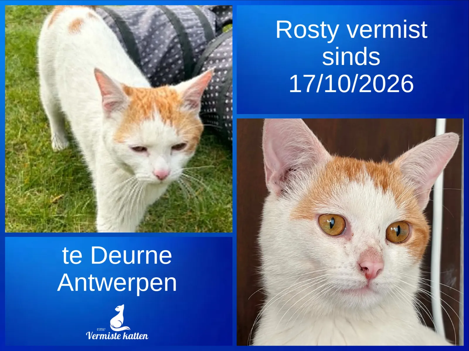 ROSTY