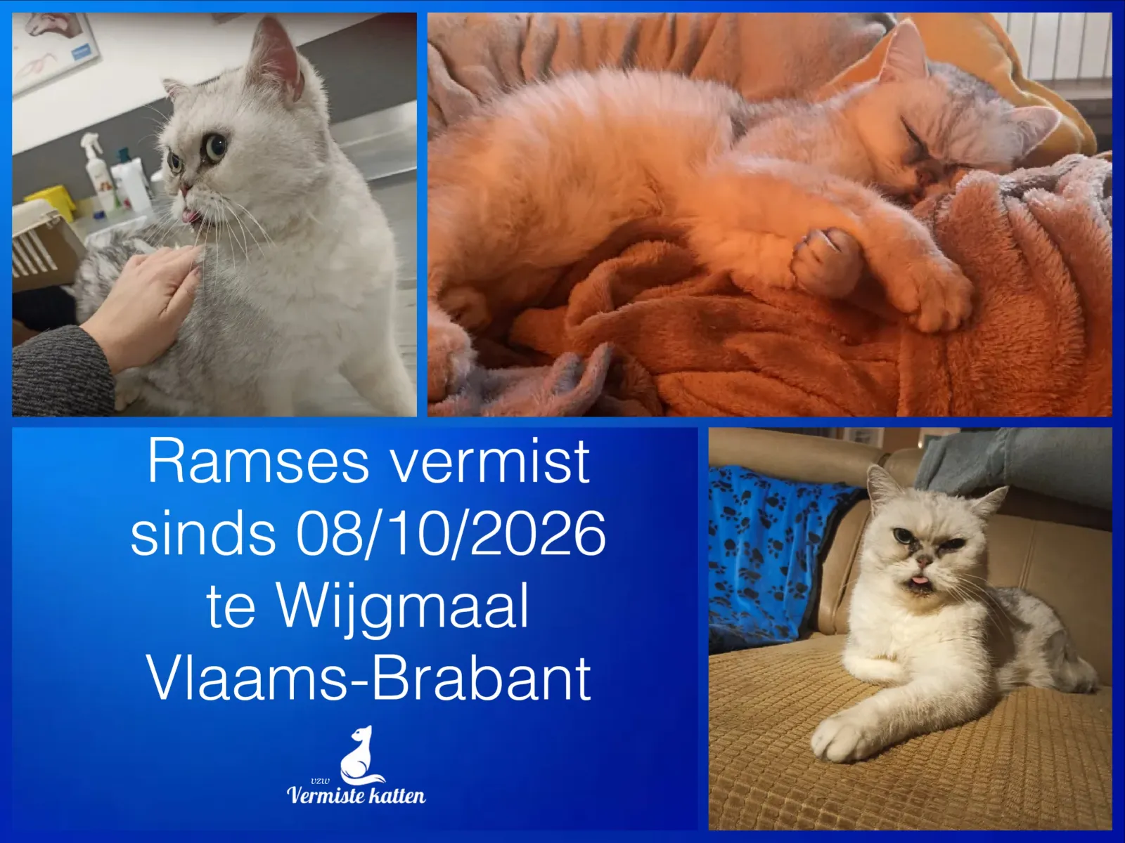 Ramses