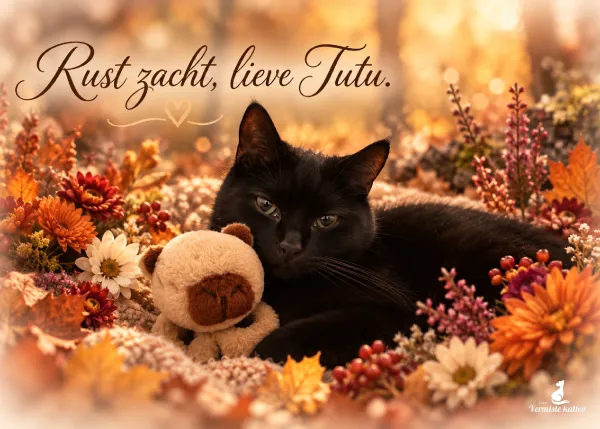Tutu