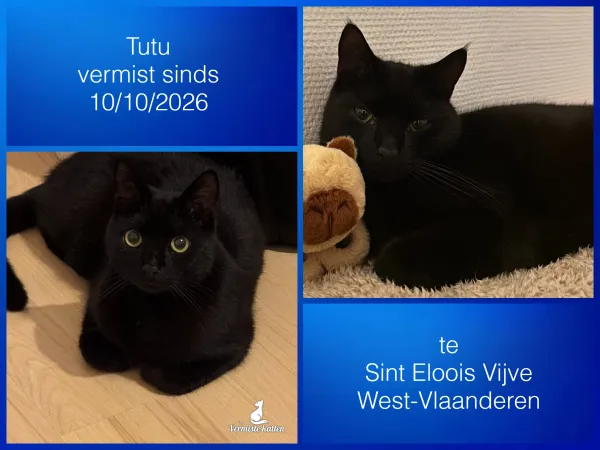 Tutu