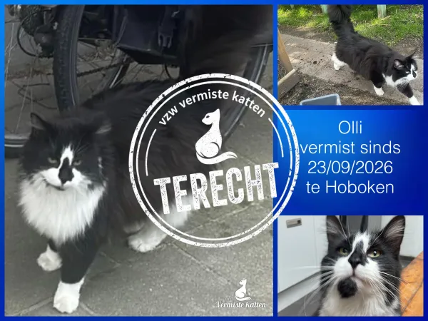 Olli