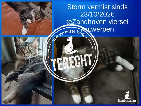 Storm