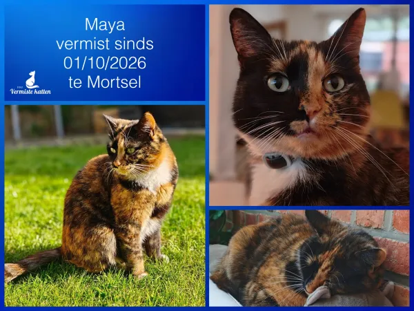 Maya