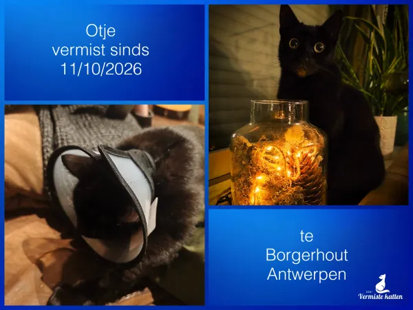 Otje
