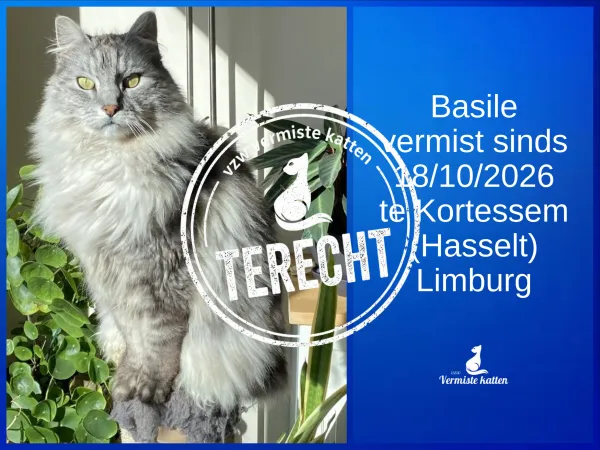 Basile 
