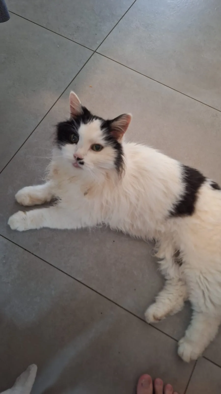 Filou