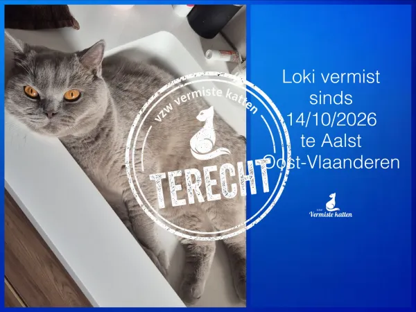 Loki