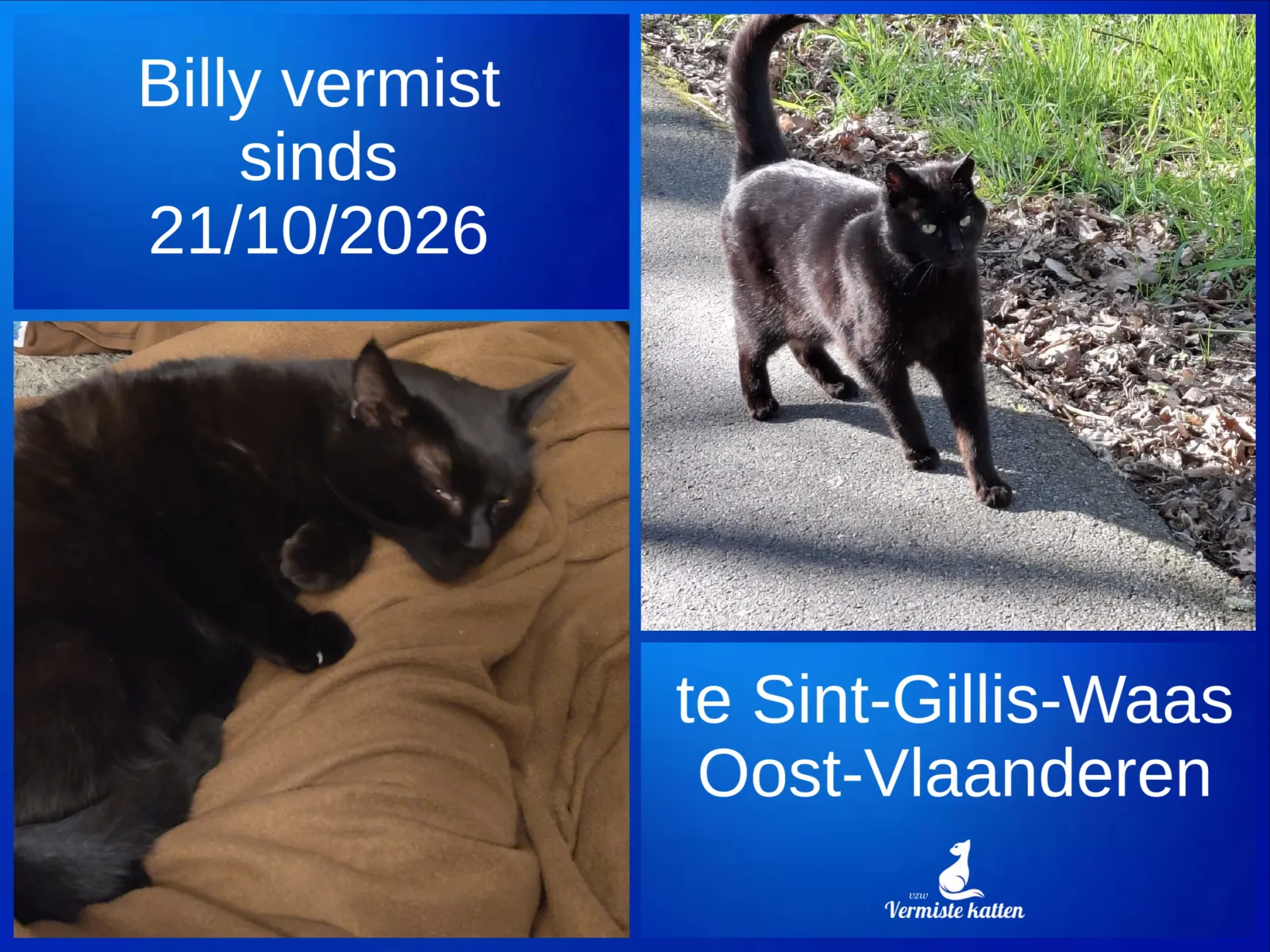 Billy