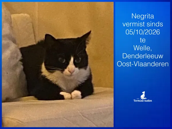 Negrita