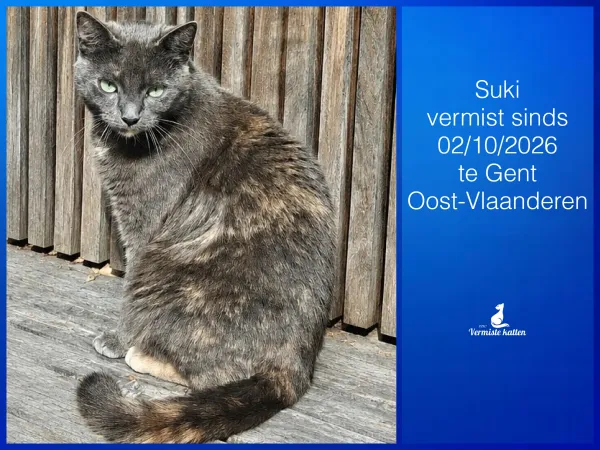 Suki