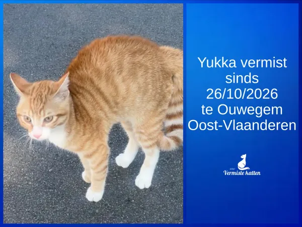 Yukka