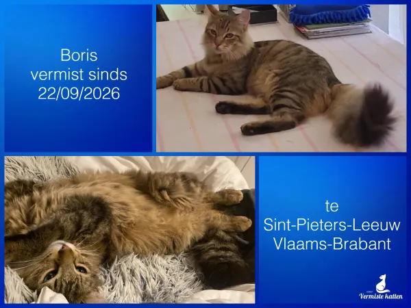 Boris