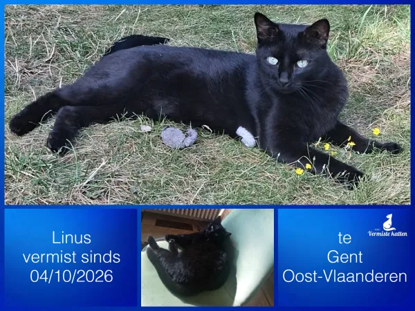 Linus
