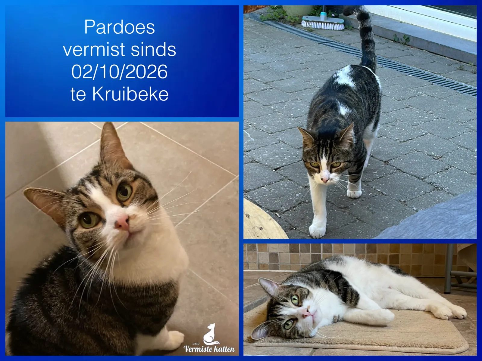 Pardoes