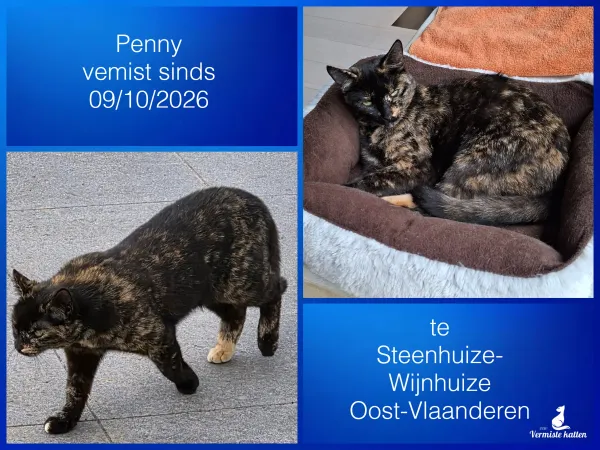 Penny