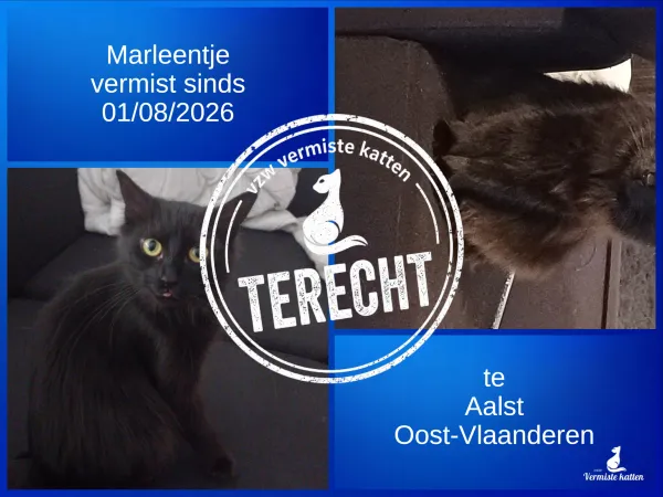 Marleentje