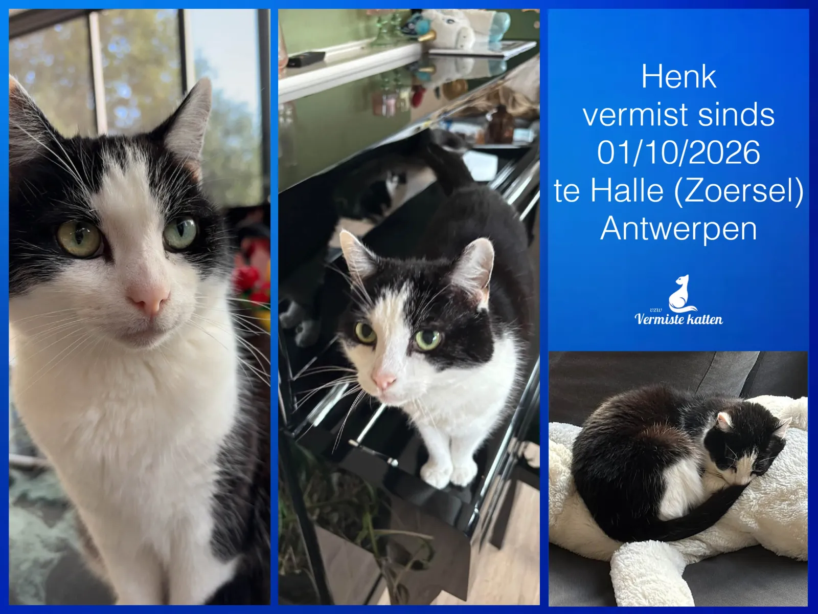 Henk