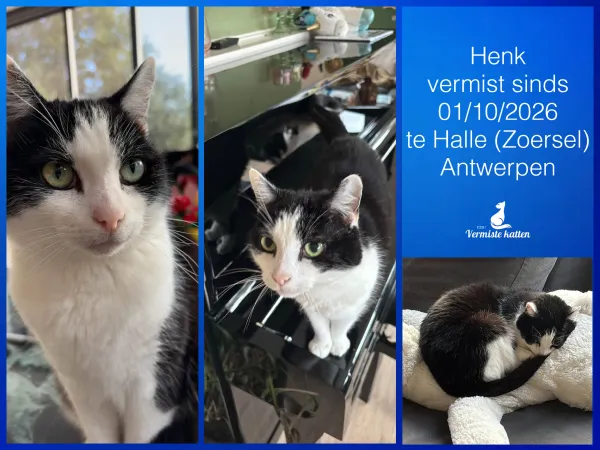 Henk
