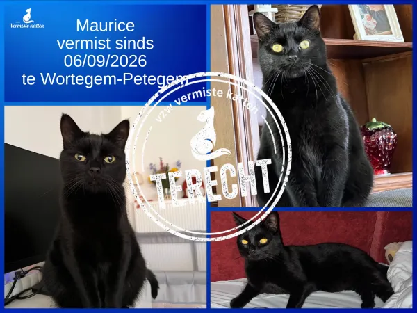 Maurice