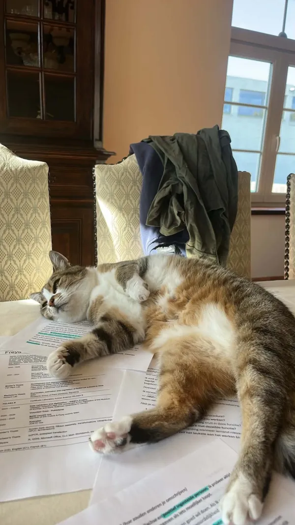 Mimi