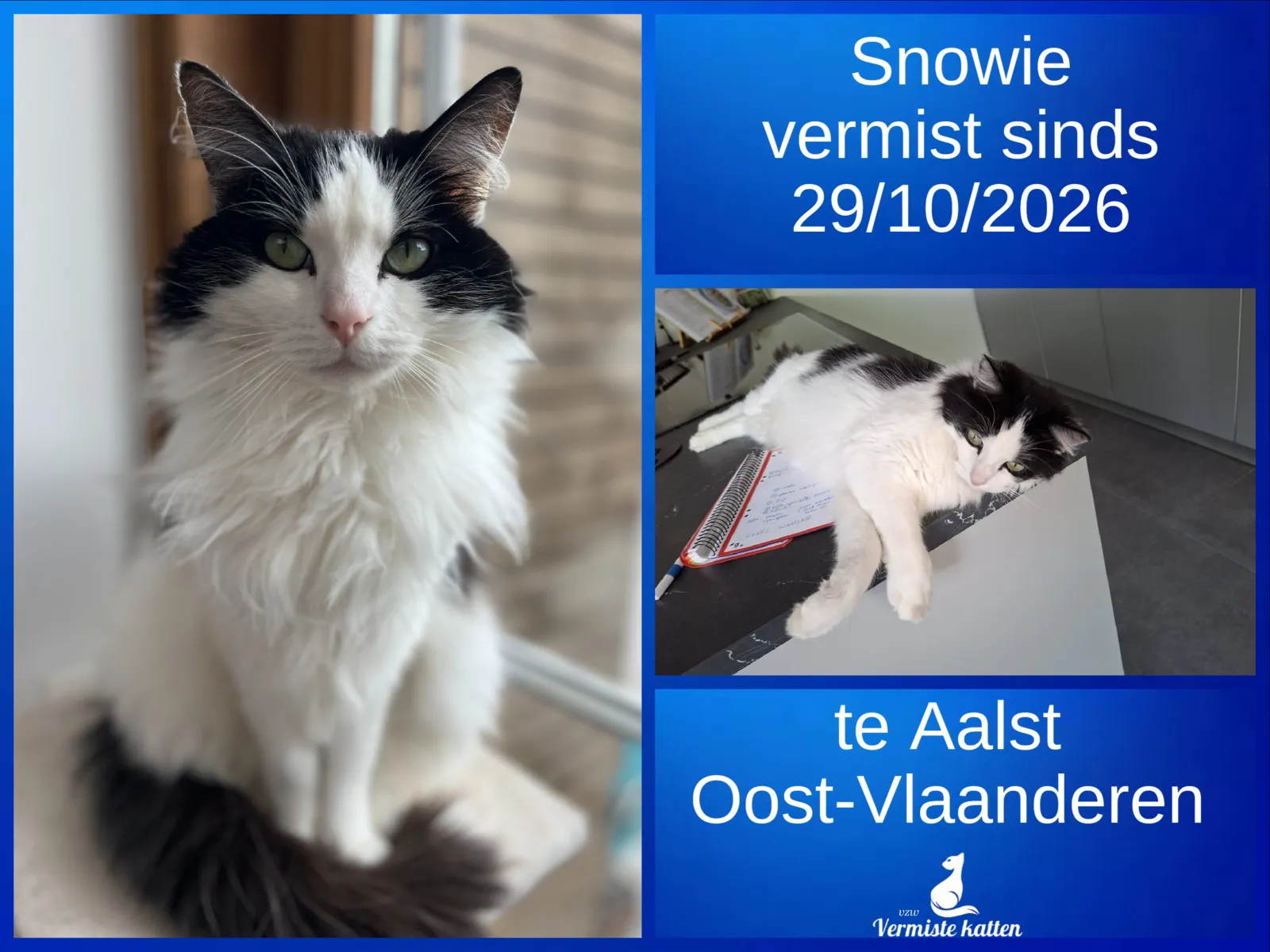 Snowie