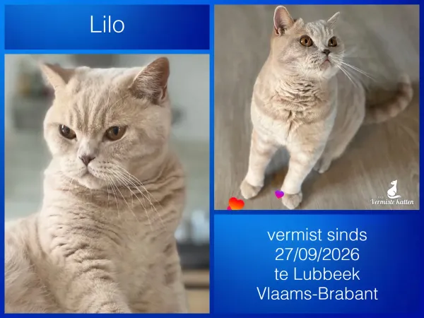 Lilo
