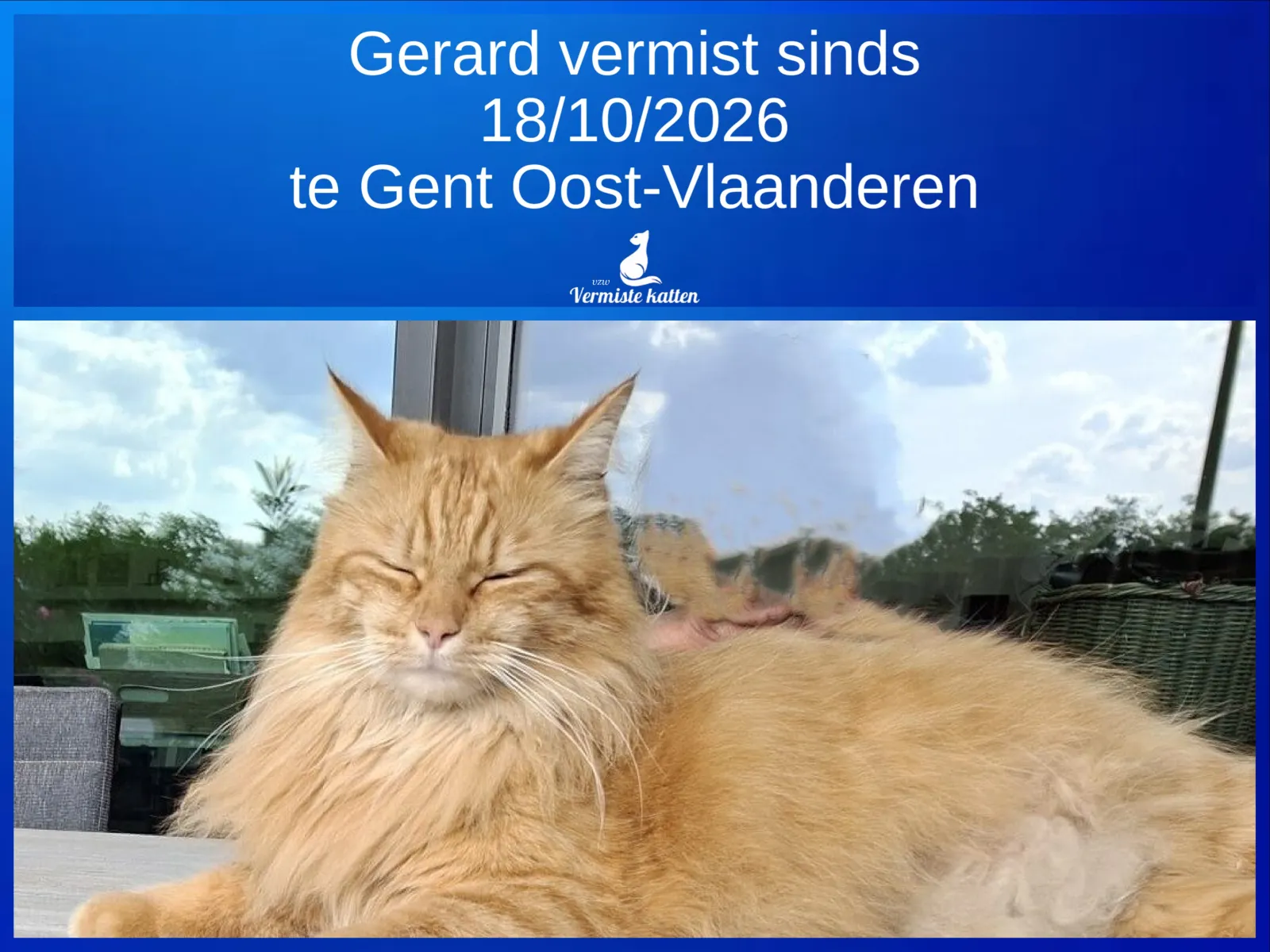 Gerard