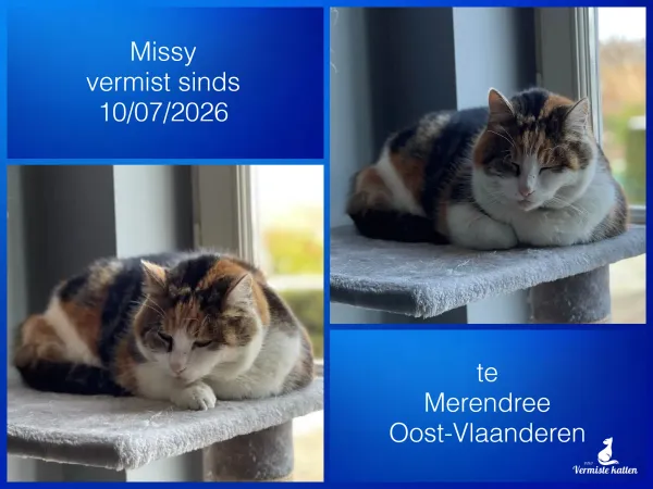 Missy
