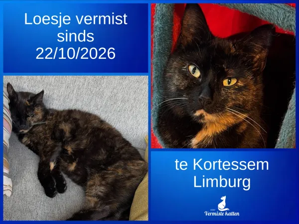 Loesje