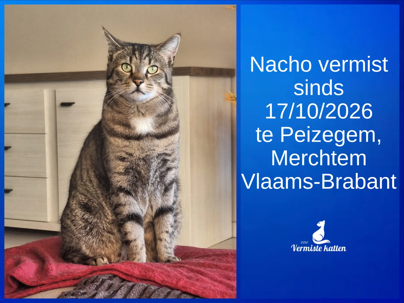 Nacho
