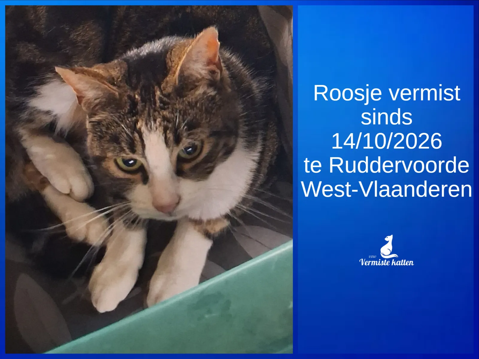 Roosje