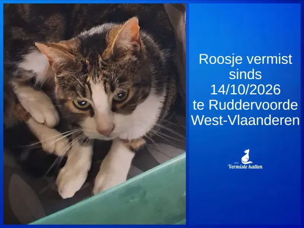 Roosje