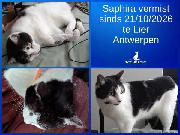 Saphira