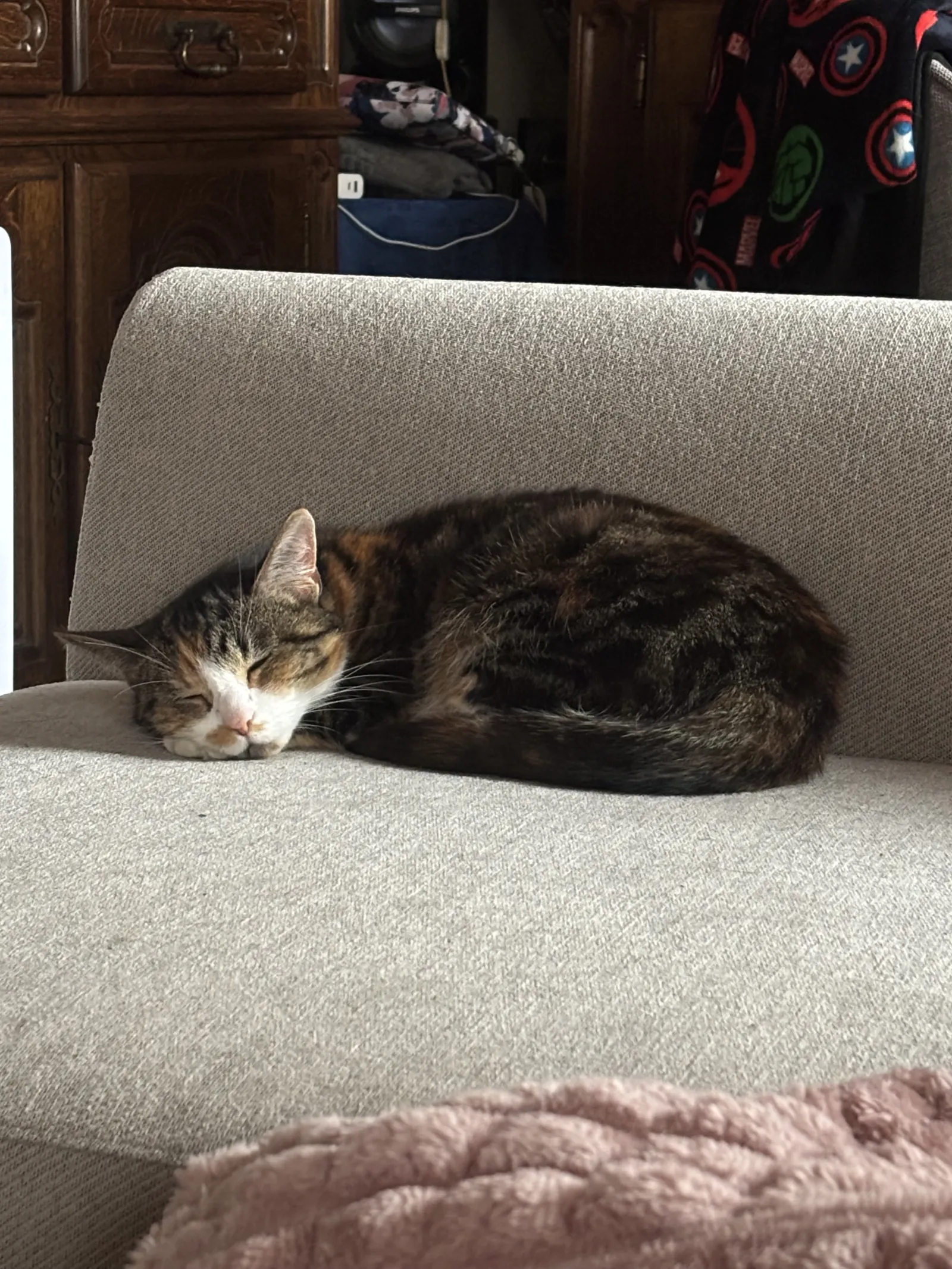 Diva