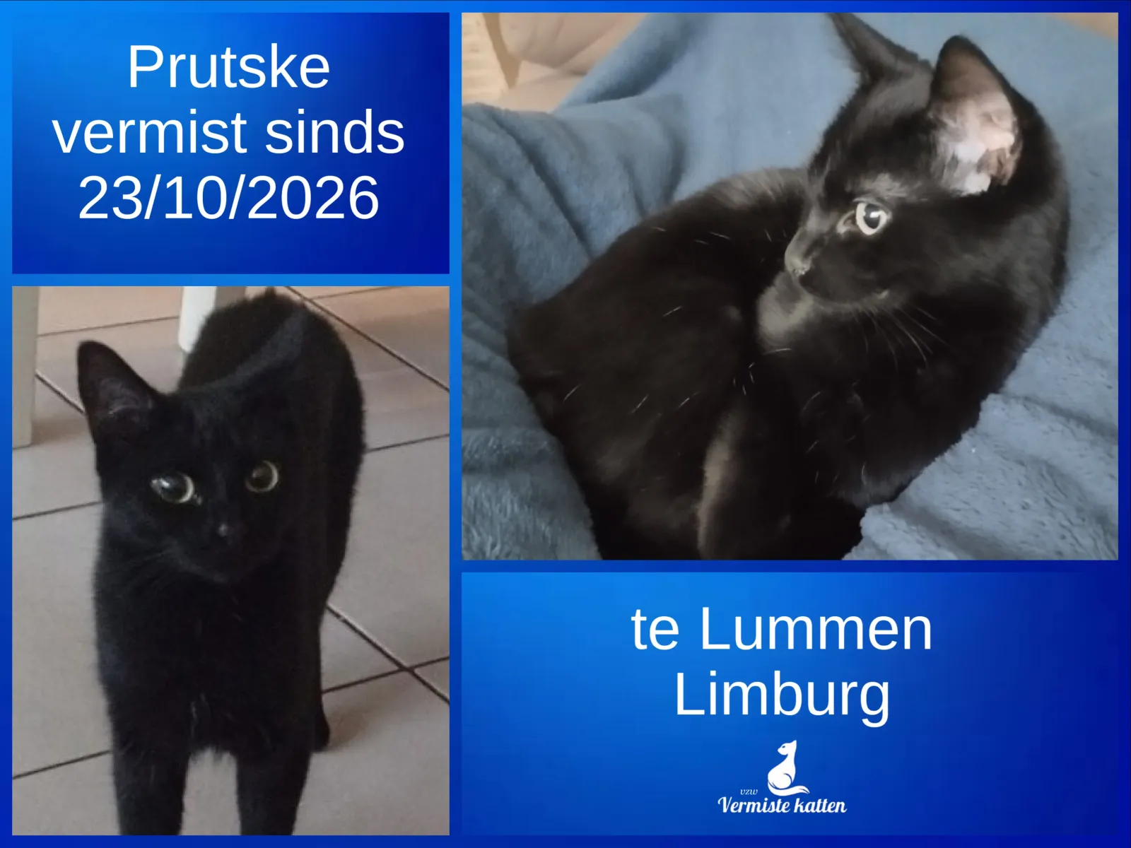 Prutske 