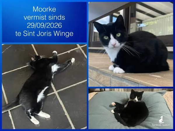 Moorke
