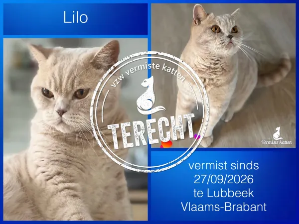 Lilo