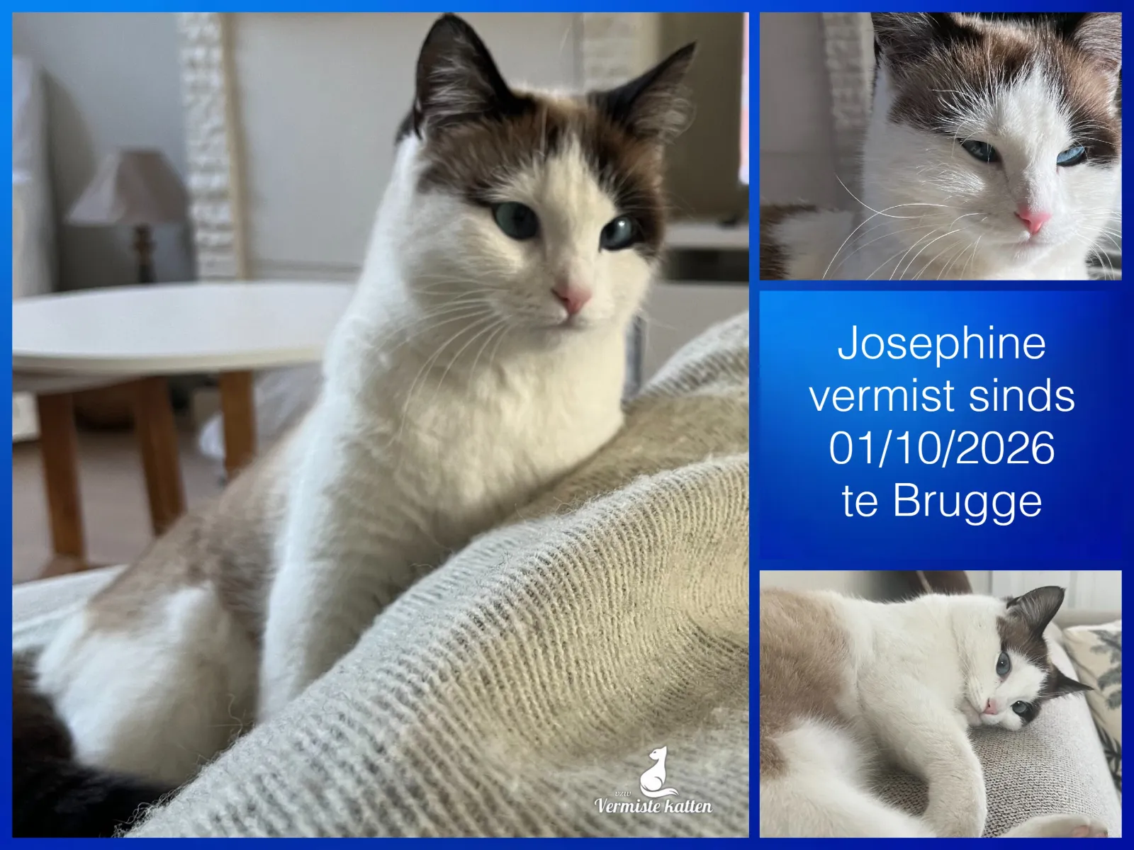 Josephine