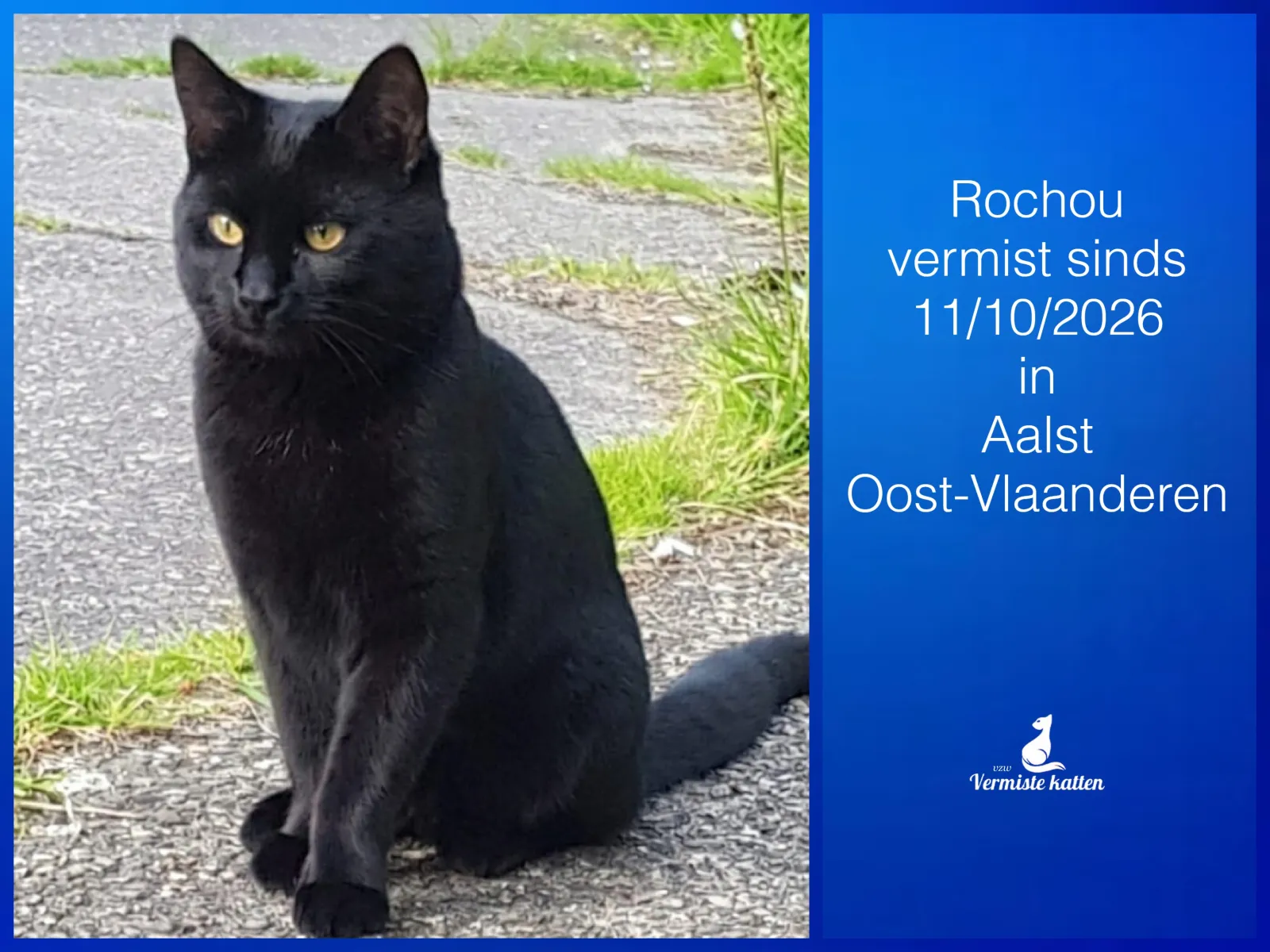 Rochou