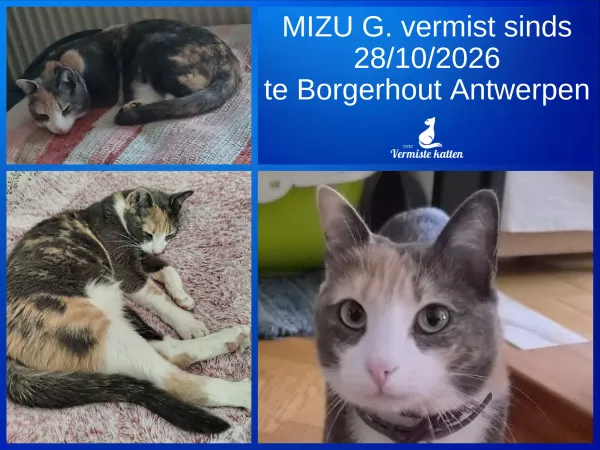 MIZU G.