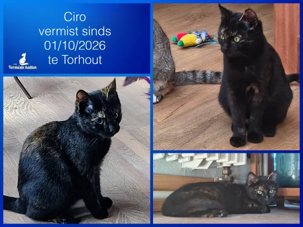 Ciro